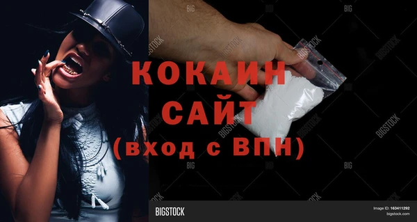 ECSTASY Алзамай