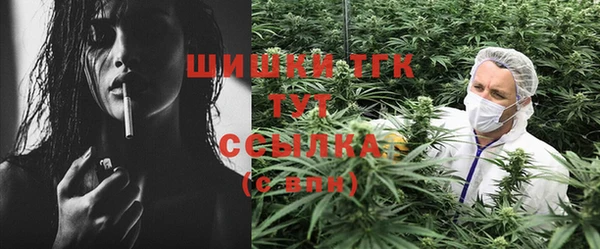 ECSTASY Алзамай