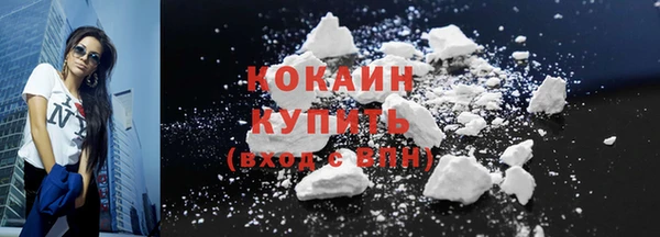 соль ск Абаза