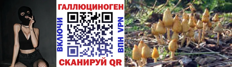 купить цена Тула Псилоцибиновые грибы прущие грибы